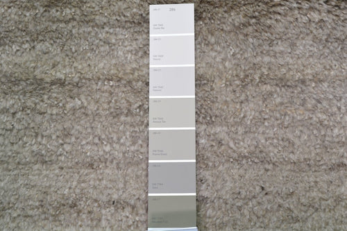 Moroccan Bronzite