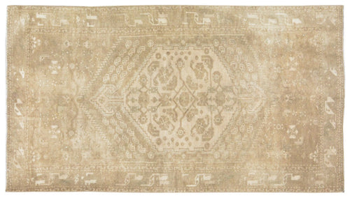 Collection Image