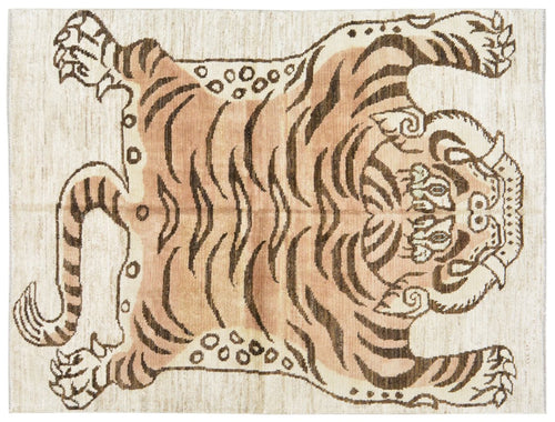 Collection Image