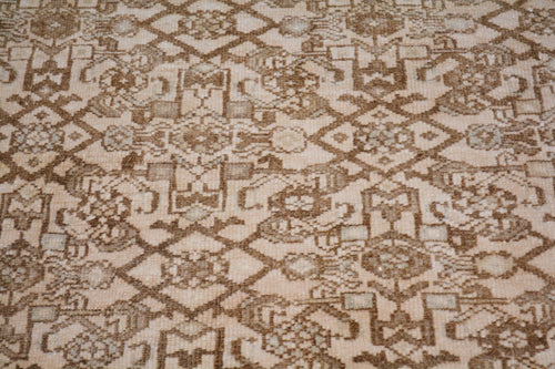 Vintage Persian Malayer