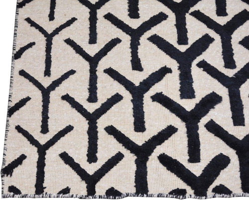 Moroccan Sheba